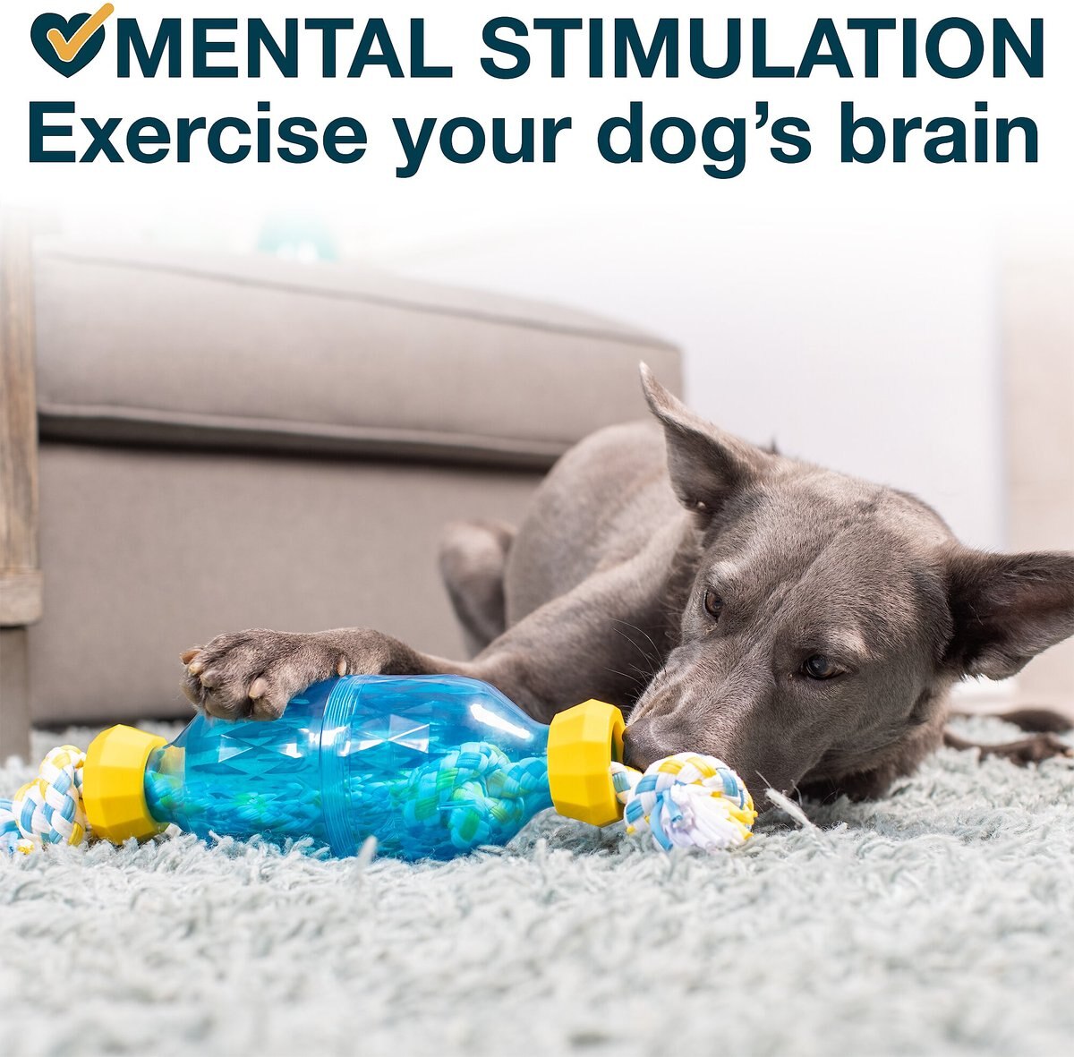 OurPets GRRRassic Retrieval Dog Toy
