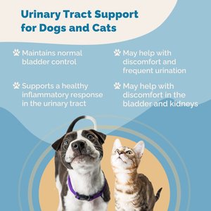 Prana Pets Urinary Tract Support for Urinary Tract Infections UTI Liquid Supplement for Cats & Dogs, 2-oz bottle