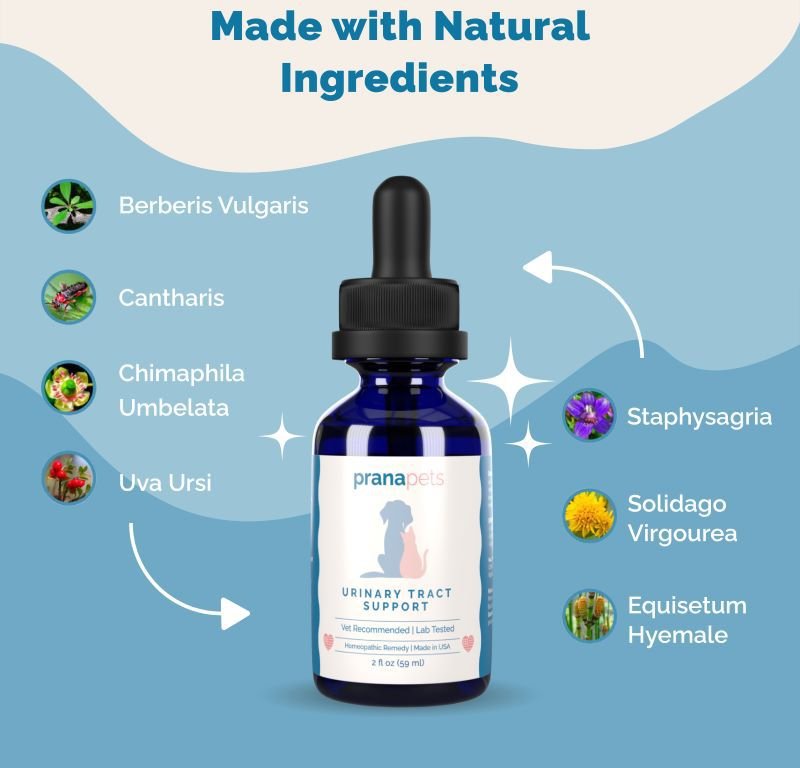 PRANA PETS Urinary Tract Support Medicine for Urinary Tract Infections