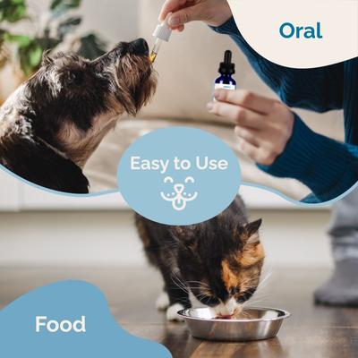 Show full view: Prana Pets Urinary Tract Support for Urinary Tract Infections UTI Liquid Supplement for Cats & Dogs, 2-fl oz bottle slide 8 of 11