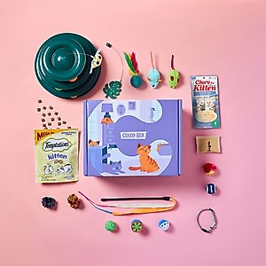 Goody Box Kitten Toys & Treats