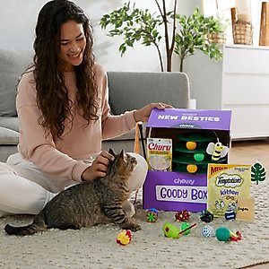 Goody Box Kitten Toys & Treats