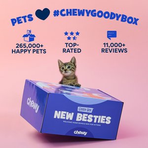 Goody Box Kitten Toys & Treats