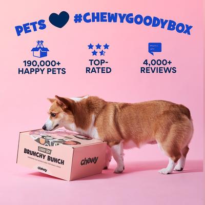 Show full view: Goody Box Brunch Dog Toys, Treats, & Bandana, Small slide 5 of 11