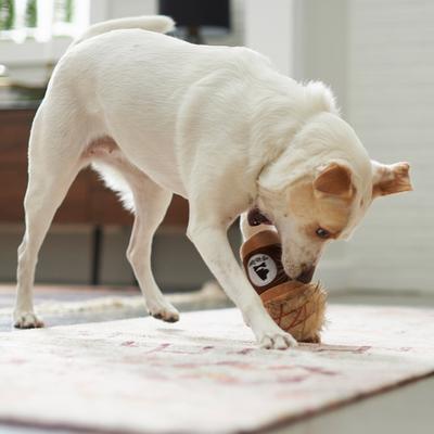 Show full view: Goody Box Brunch Dog Toys, Treats, & Bandana, Small slide 8 of 11