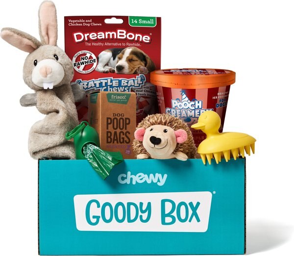 Goody Box Puppy Toys, Treats & Potty Training slide 1 of 8
