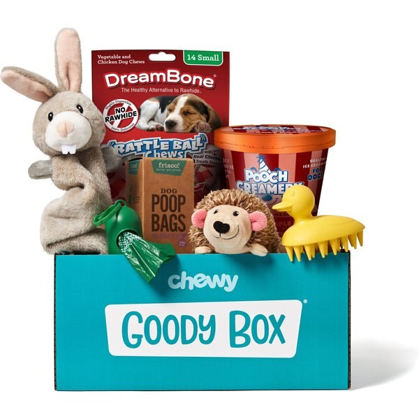 GOODY BOX Puppy Toys, Treats & Potty Training - Chewy.com