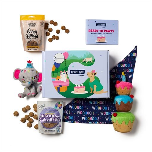 Goody Box Birthday Dog Toys & Treats, X-Small/Small