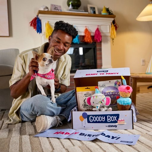 Goody Box Birthday Dog Toys & Treats, X-Small/Small