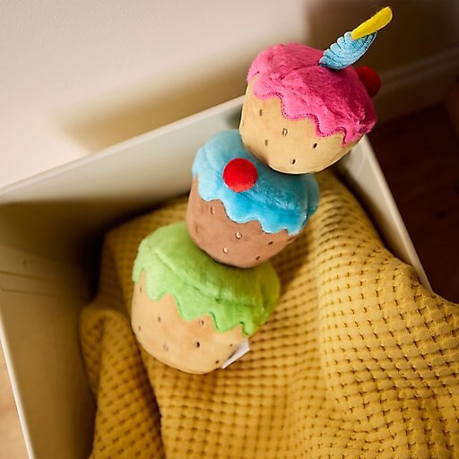 Goody Box Birthday Dog Toys & Treats, X-Small/Small