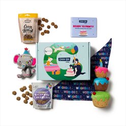 Goody Box Birthday Dog Toys & Treats, Medium/Large slide 2 of 9