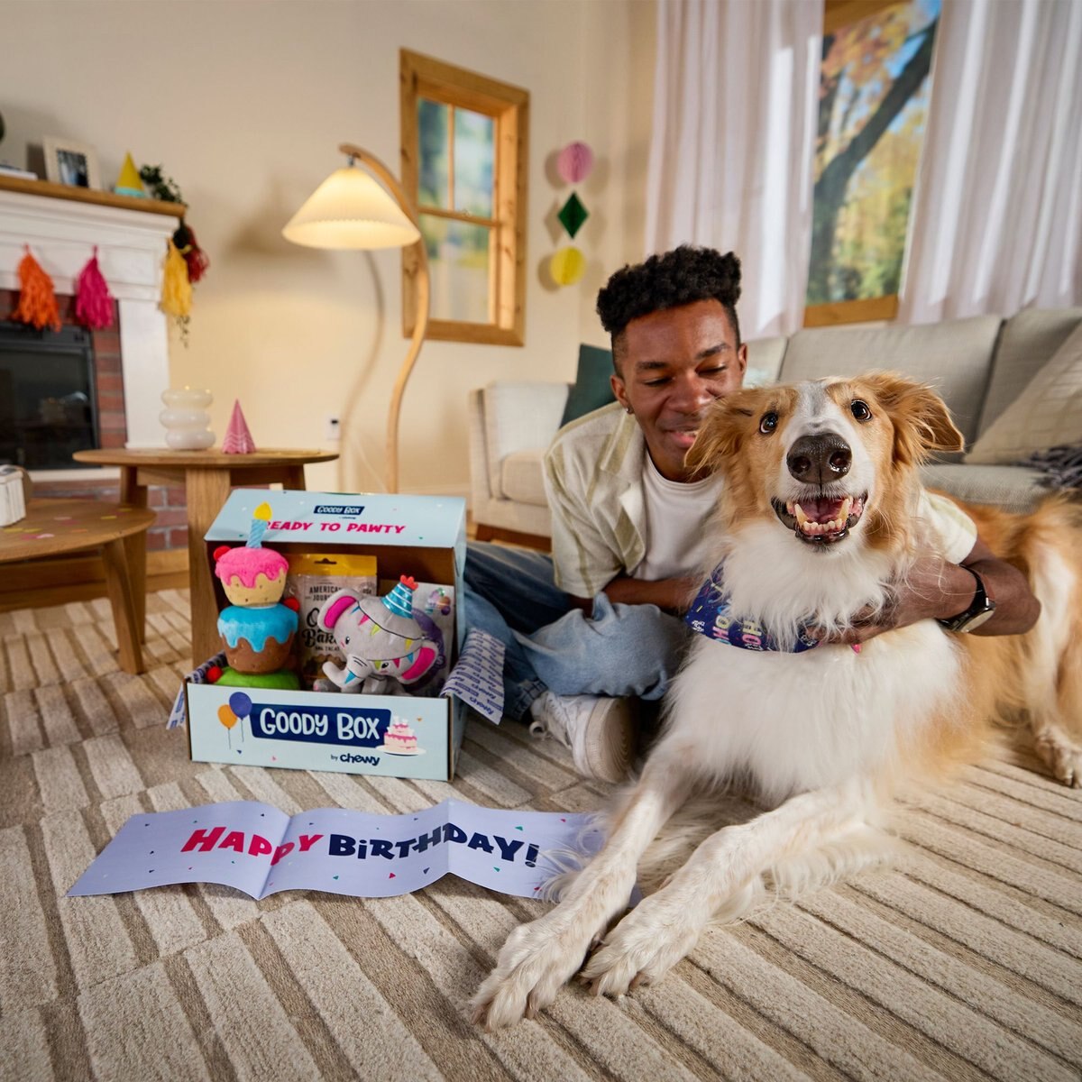 GOODY BOX Birthday Dog Toys & Treats, Medium/Large