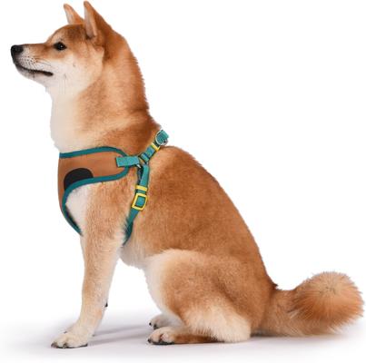 Show full view: Fetch For Pets Scooby Doo Basic Dog Harness, Medium: 16.5 to 21.5-in chest slide 4 of 6