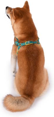 Show full view: Fetch For Pets Scooby Doo Basic Dog Harness, Medium: 16.5 to 21.5-in chest slide 5 of 6
