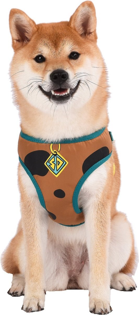 Scooby Doo Dog Collar Retro Colors Small Medium Large Breed Pet 