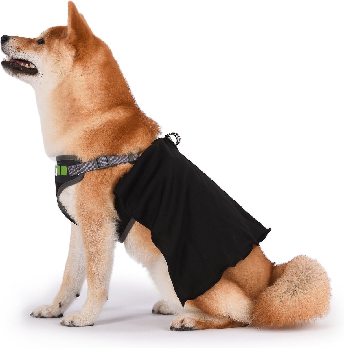 Darth vader cheap dog harness