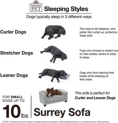 Show full view: Enchanted Home Pet Surrey Cat & Dog Sofa Bed, Small, Peacock Blue slide 6 of 10