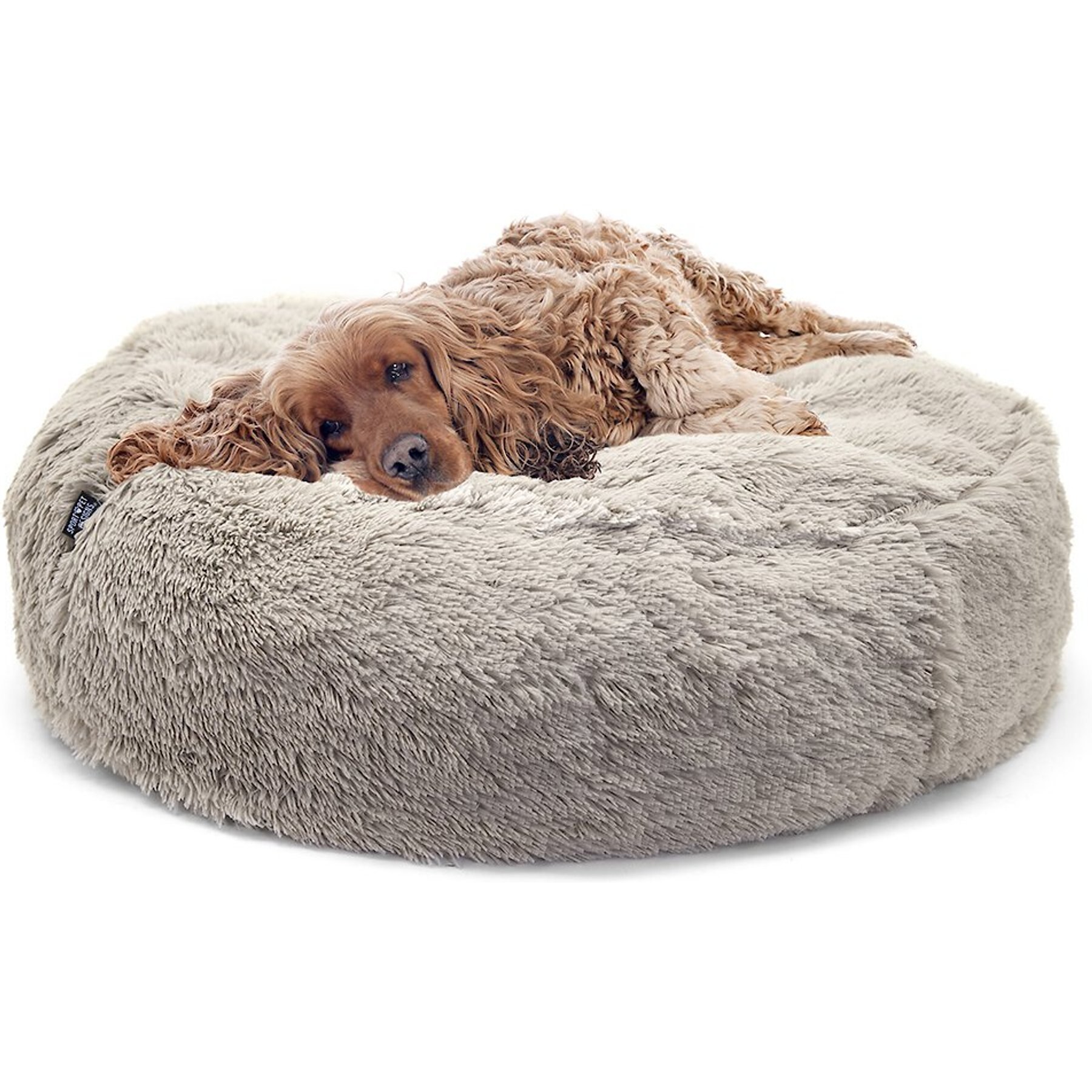 SportPet Designs Comfy Dog Bed, Large