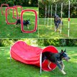 Out of Stock - SPORT PET Dog 6 Piece Agility Kit - Chewy.com