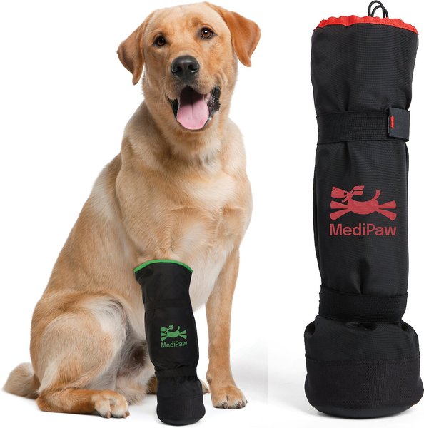Medipaw Basic Dog & Cat Protective Boot, Medium slide 1 of 6