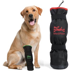 Top paw hotsell boots for dogs