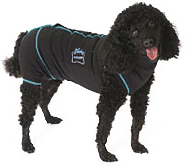 Medipaw Recovery Protective Dog Suit, Small slide 1 of 2