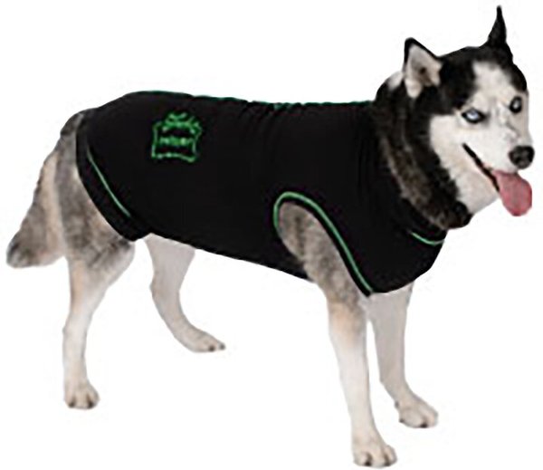 Medipaw Recovery Protective Dog Suit, Large slide 1 of 2