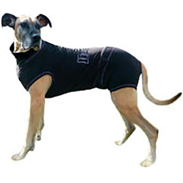 chewy suitical recovery suit