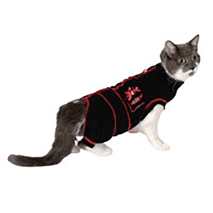 MEDIPAW Recovery Protective Cat Suit Customer Questions