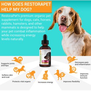 RestoraPet Daily Supplement Organic Bacon Flavor Dog & Cat Supplement, 2-oz bottle