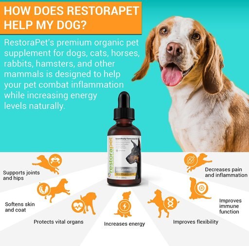 RestoraPet Daily Supplement Unflavored Dog & Cat Supplement, 2-oz bottle