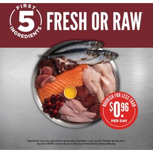 What is the outlet best raw dog food