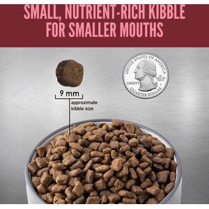 ORIJEN Small Breed Grain-Free Dry Dog Food, 10-lb bag