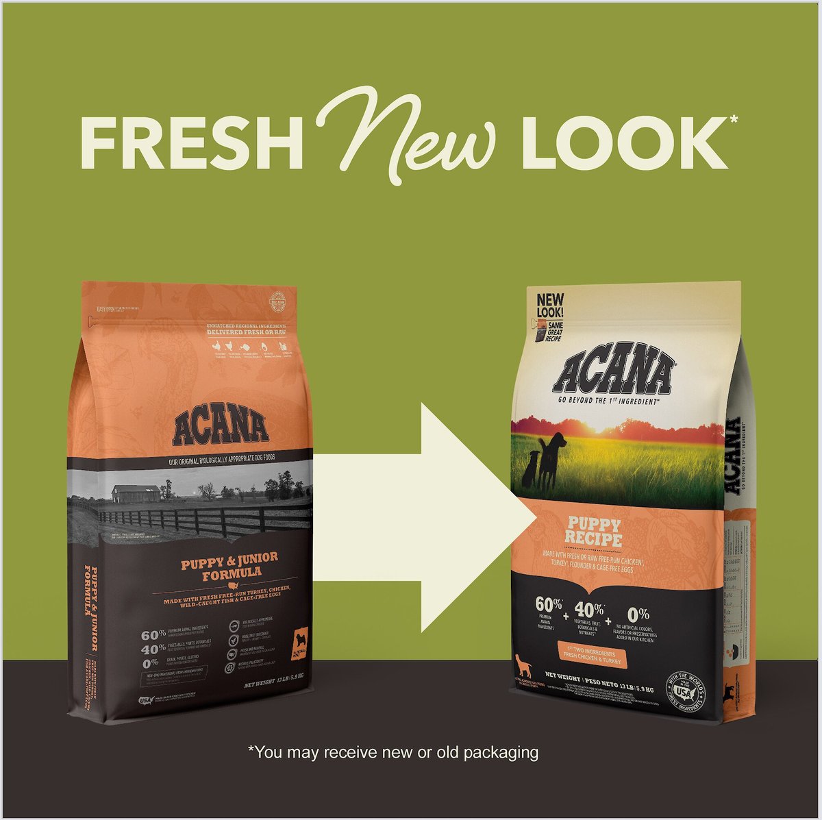 Acana dog food heart disease sale