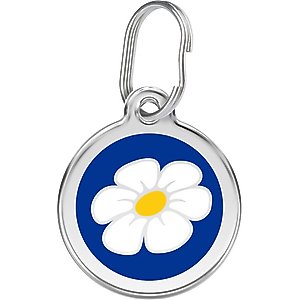Red Dingo Daisy Stainless Steel Personalized Dog & Cat ID Tag, Blue, Large