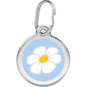 Red Dingo Daisy Stainless Steel Personalized Dog & Cat ID Tag, Light Blue, Medium