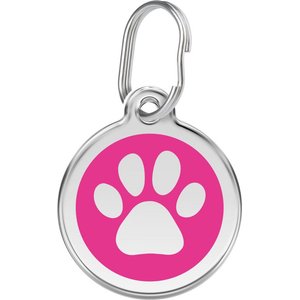 Red Dingo Paw Patrol Everest - Nickelodeon/Nick Jr. Personalized Dog & Cat ID Tag, Aqua