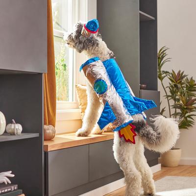 Show full view: Frisco Rocket Ship Dog & Cat Costume, Small slide 9 of 11
