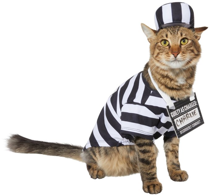 FRISCO Prisoner Dog & Cat Costume, X-Small - Chewy.com