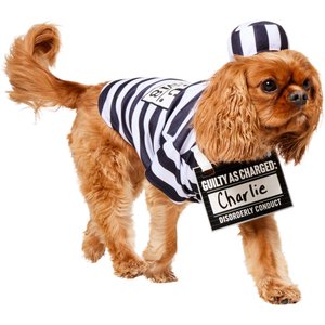 Frisco Prisoner Dog Costume