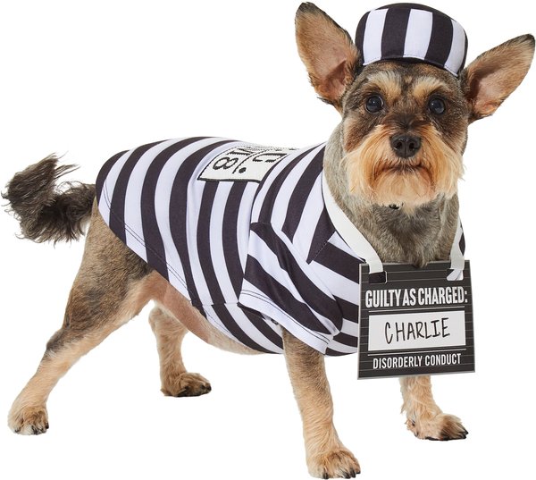 Frisco Prisoner Dog & Cat Costume, Large slide 1 of 7