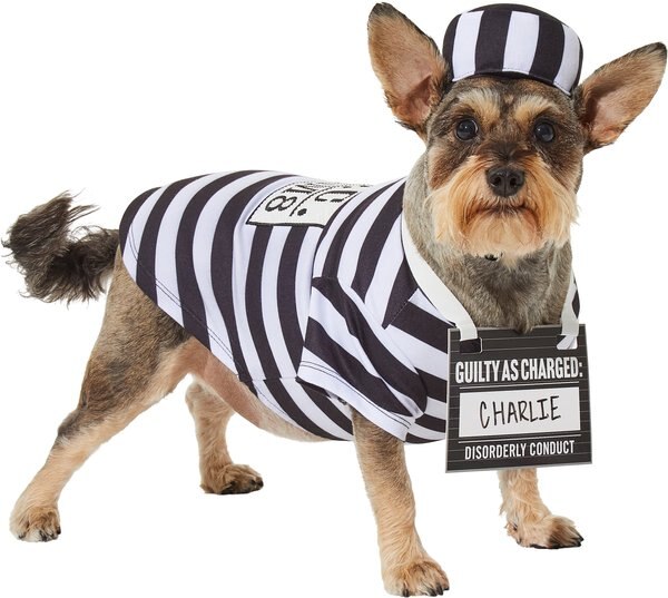 Frisco Prisoner Dog & Cat Costume, X-Large slide 1 of 7