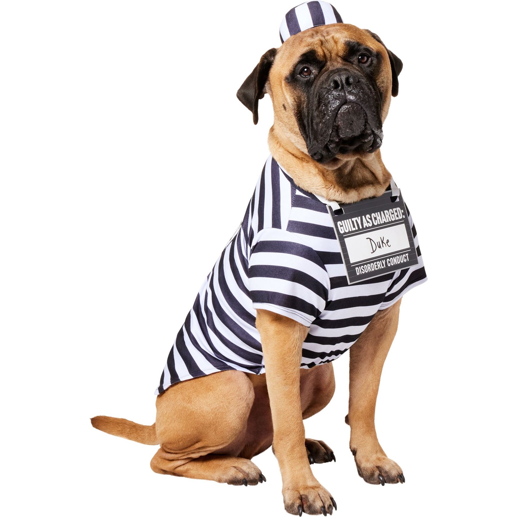 Casual Canine Prison Pooch Dog Costume