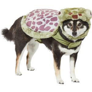 Frisco Sea Turtle Dog & Cat Costume, X-Large