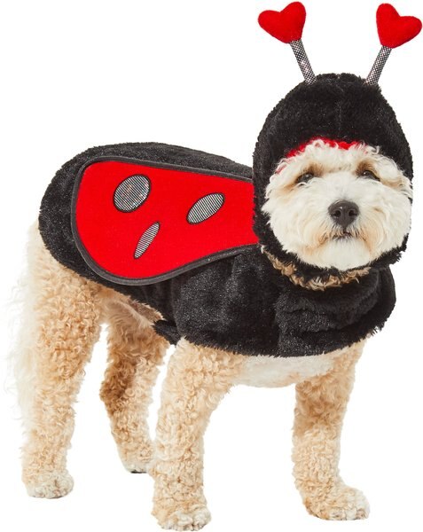 Discontinued - FRISCO Ladybug Dog & Cat Costume, Large - Chewy.com