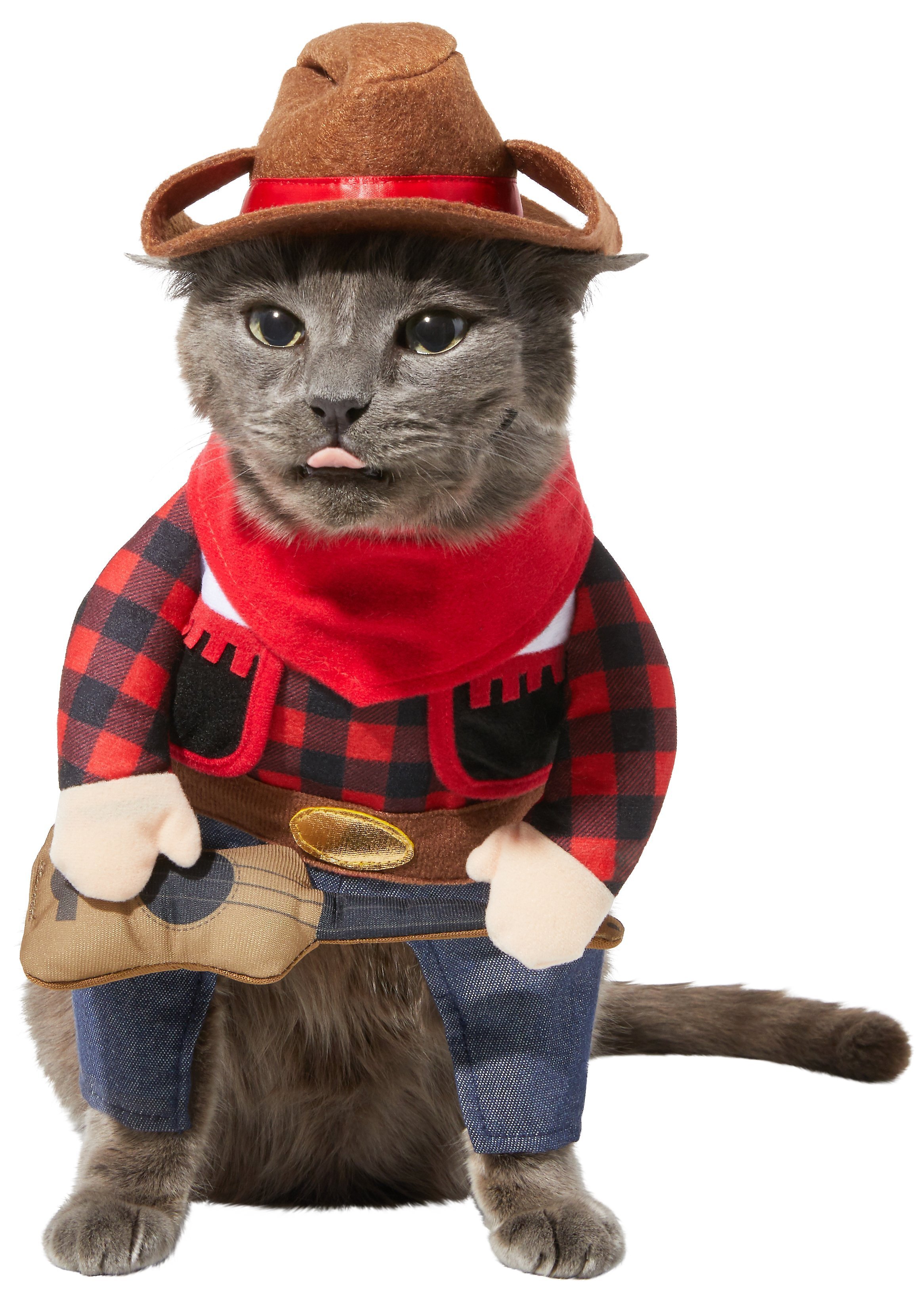 Frisco Front Walking Country Singer Dog & Cat Costume