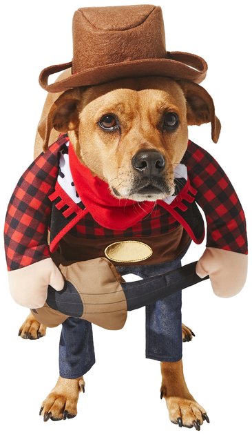 FRISCO Front Walking Country Singer Dog & Cat Costume, X-Large - Chewy.com