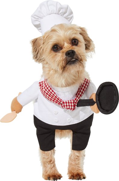 Frisco Front Walking Workout Girl Dog & Cat Costume, XX-Large