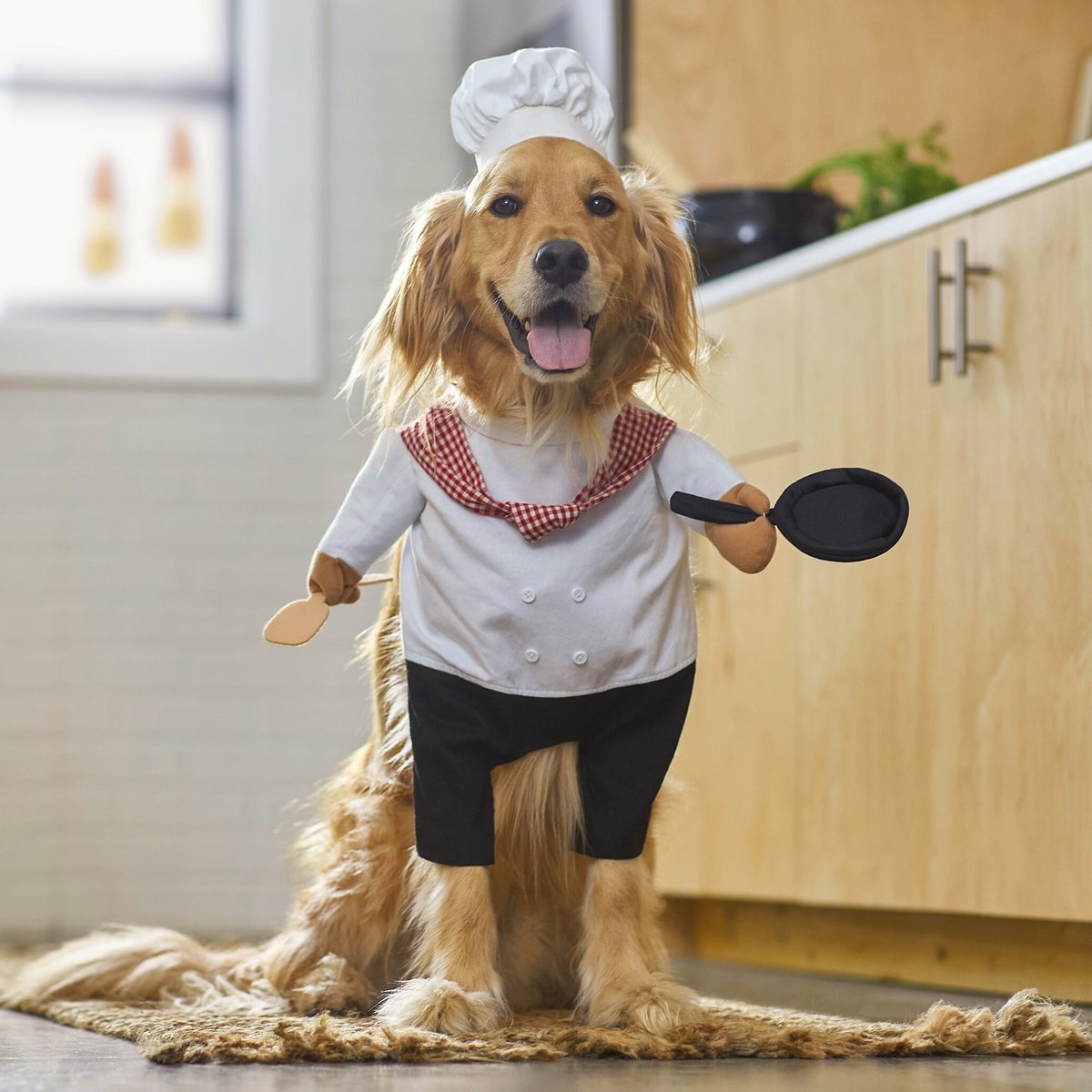 Frisco Front Walking Chef Dog & Cat Costume