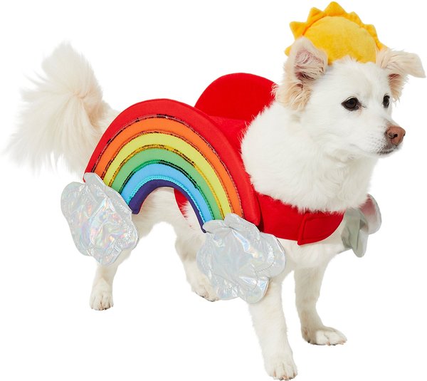 Dog 2024 rainbow costume